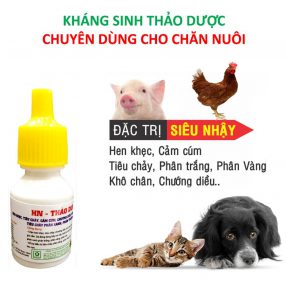 Kháng sinh thảo dược